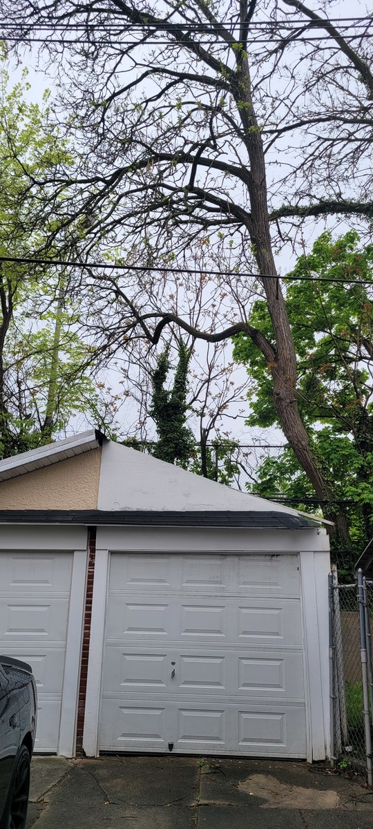 Photographic documentation of the work as submitted to the city's 311 record.