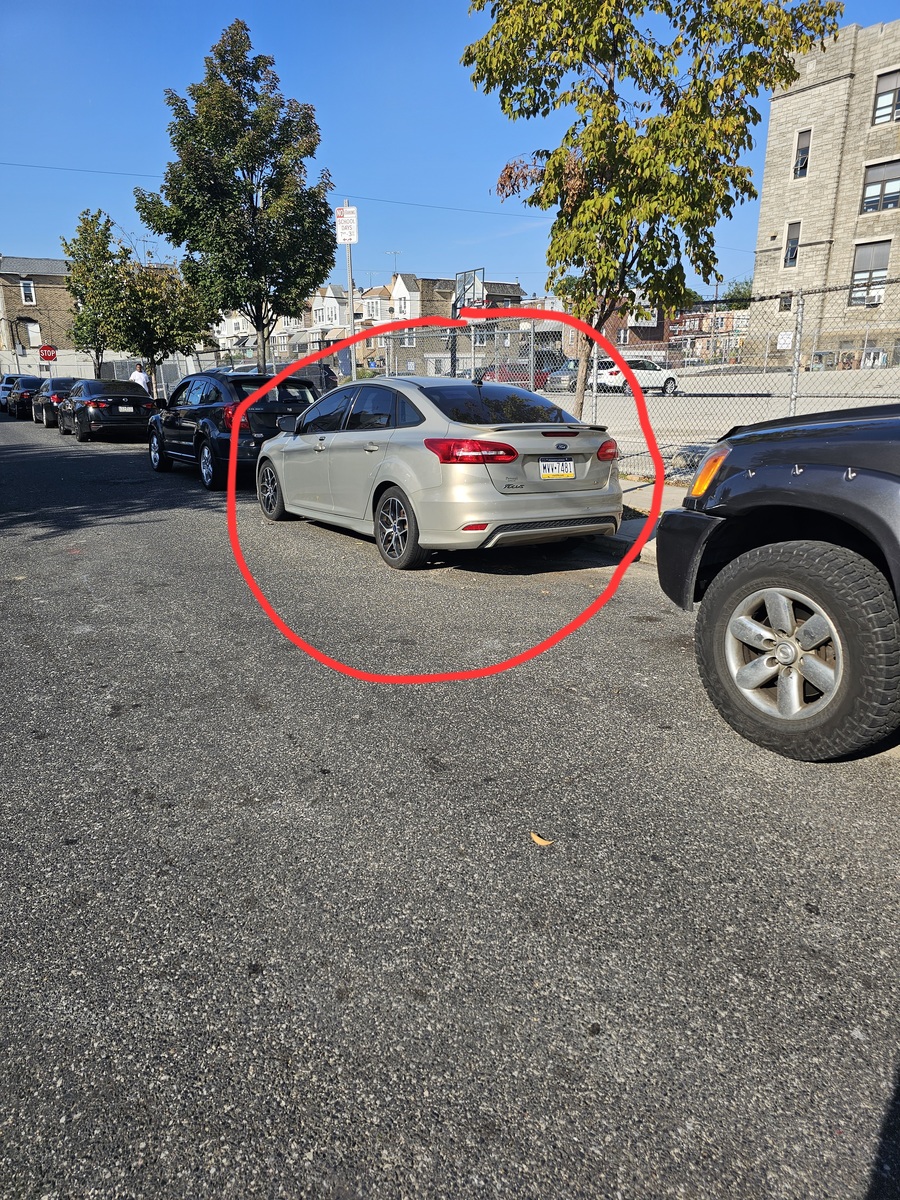 Photographic documentation of the work as submitted to the city's 311 record.