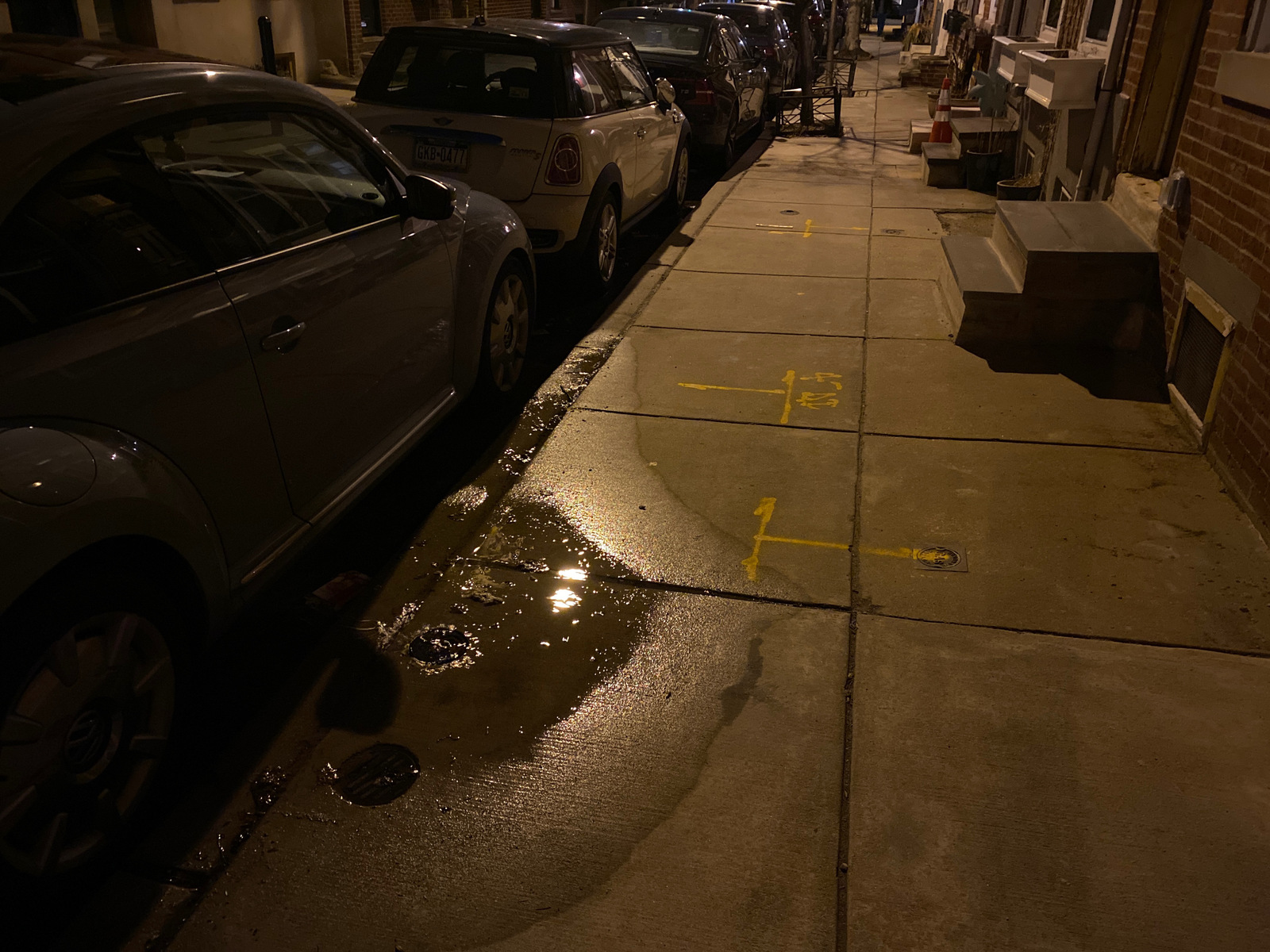 Photographic documentation of the work as submitted to the city's 311 record.