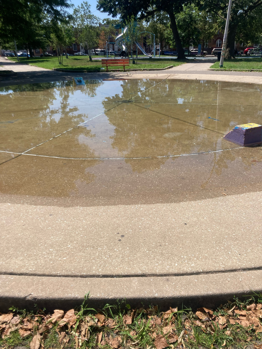 Photographic documentation of the work as submitted to the city's 311 record.
