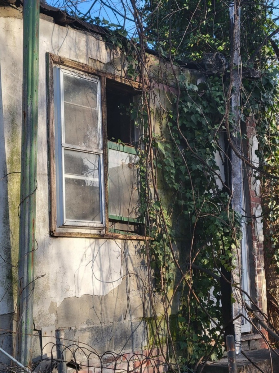 Photographic documentation of the work as submitted to the city's 311 record.