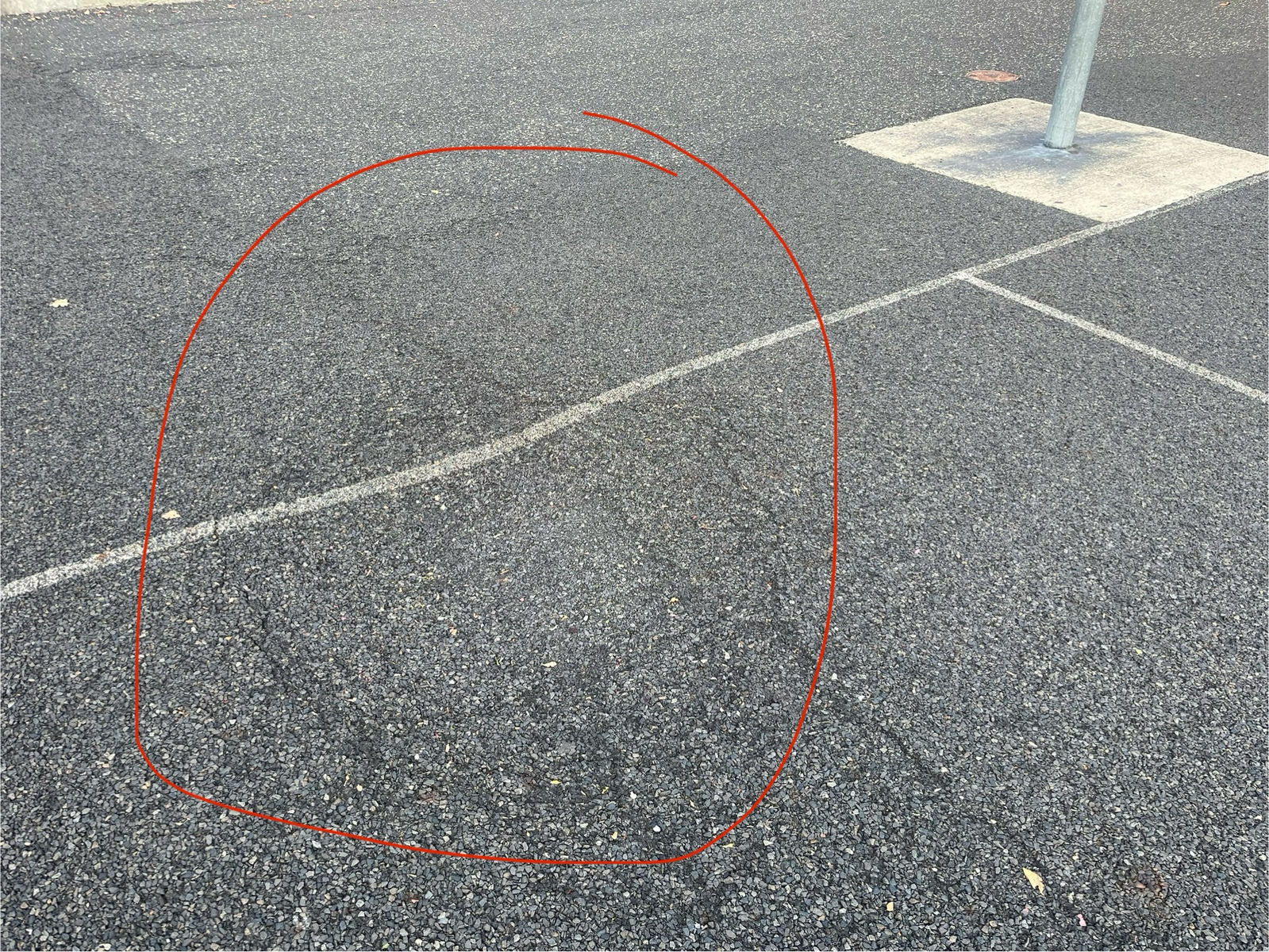 Photographic documentation of the work as submitted to the city's 311 record.