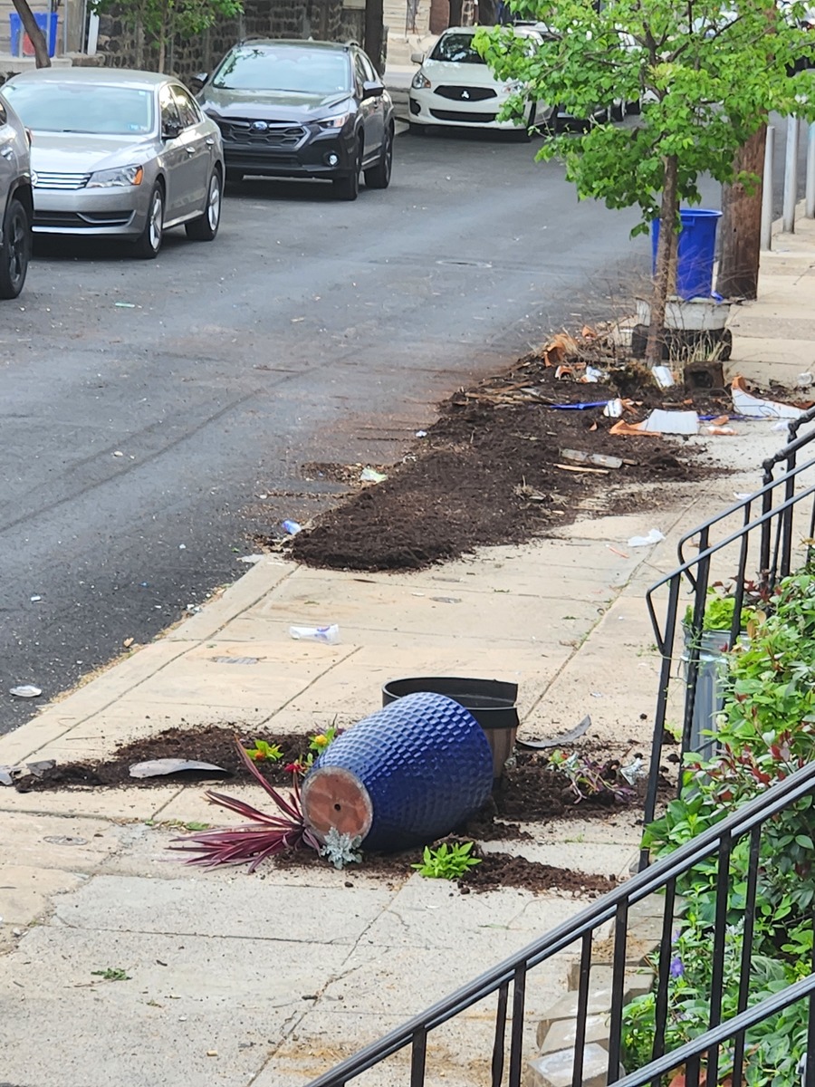 Photographic documentation of the work as submitted to the city's 311 record.