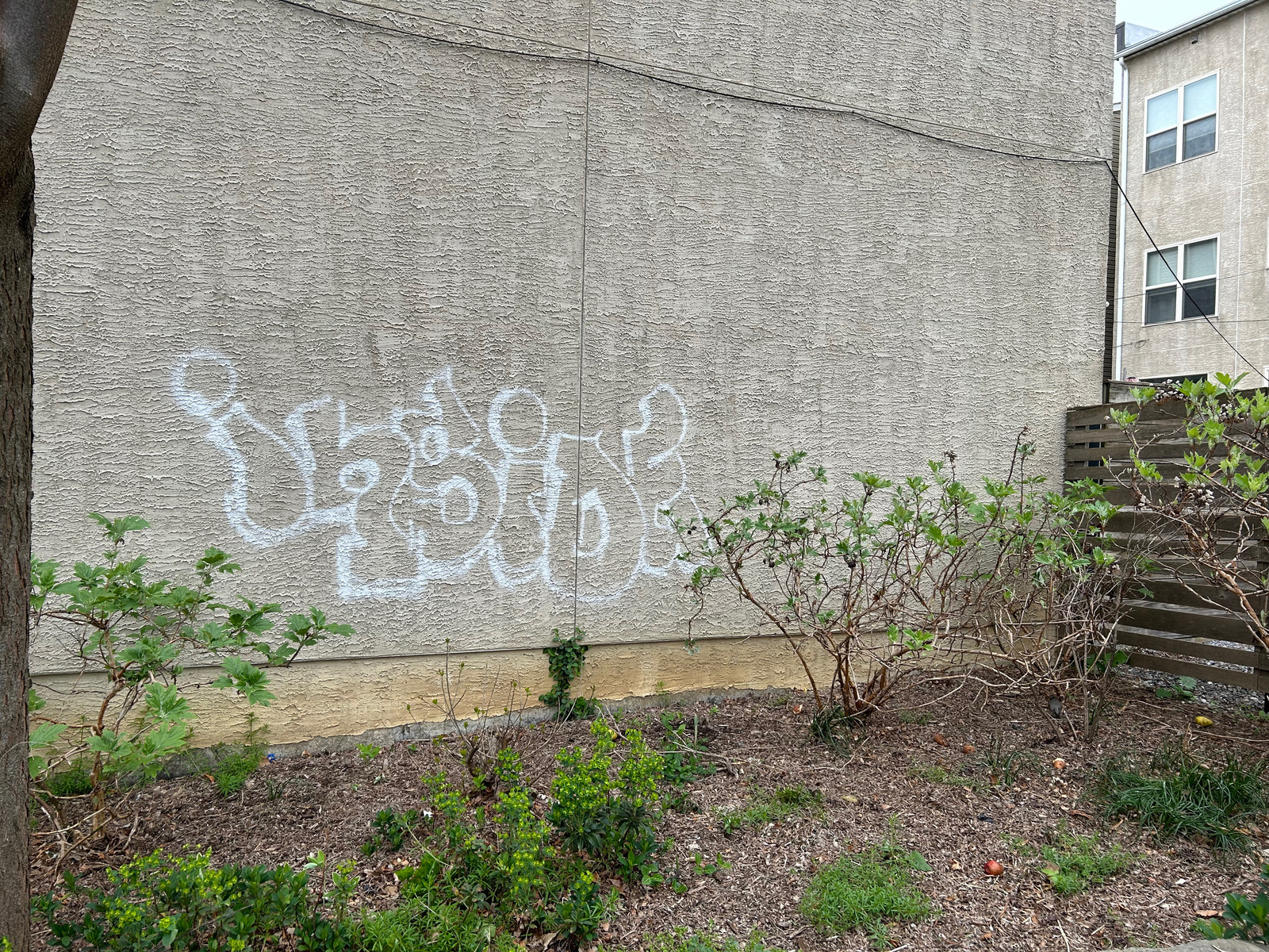 Photographic documentation of the work as submitted to the city's 311 record.