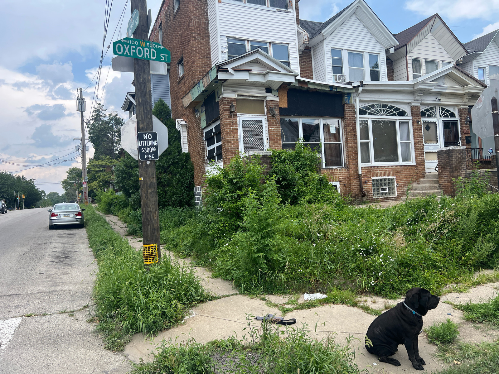 Photographic documentation of the work as submitted to the city's 311 record.