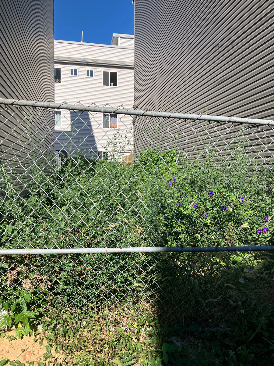 Photographic documentation of the work as submitted to the city's 311 record.
