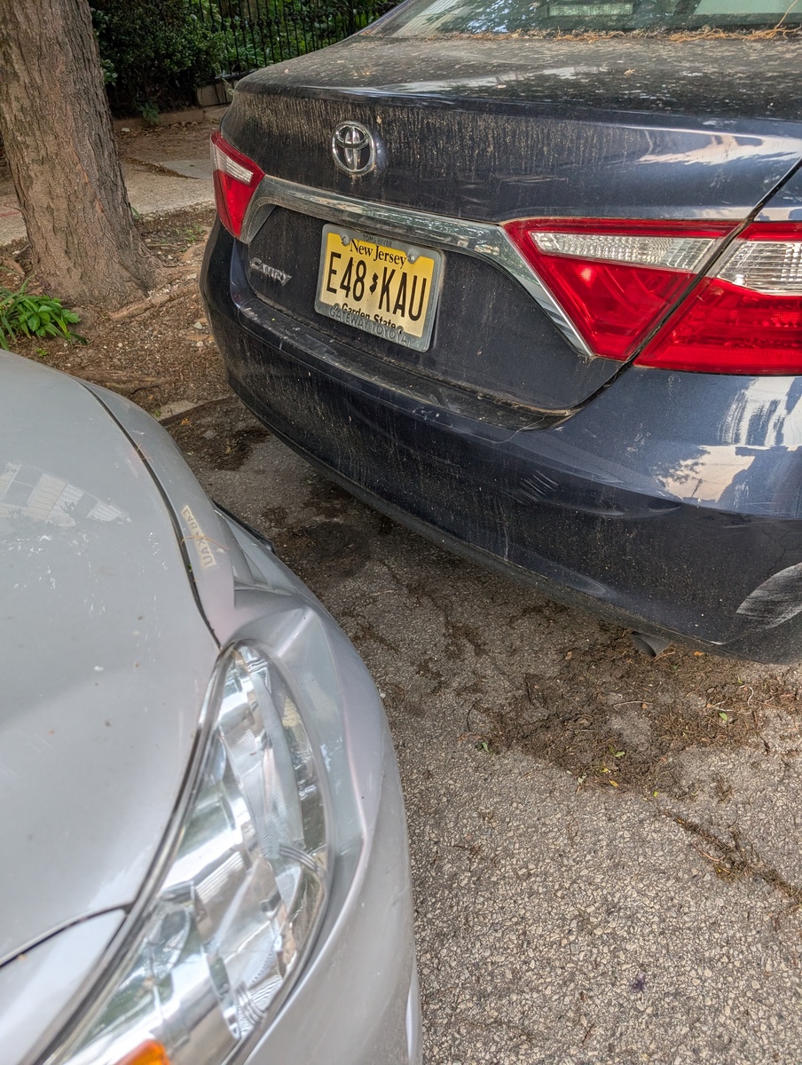 Photographic documentation of the work as submitted to the city's 311 record.