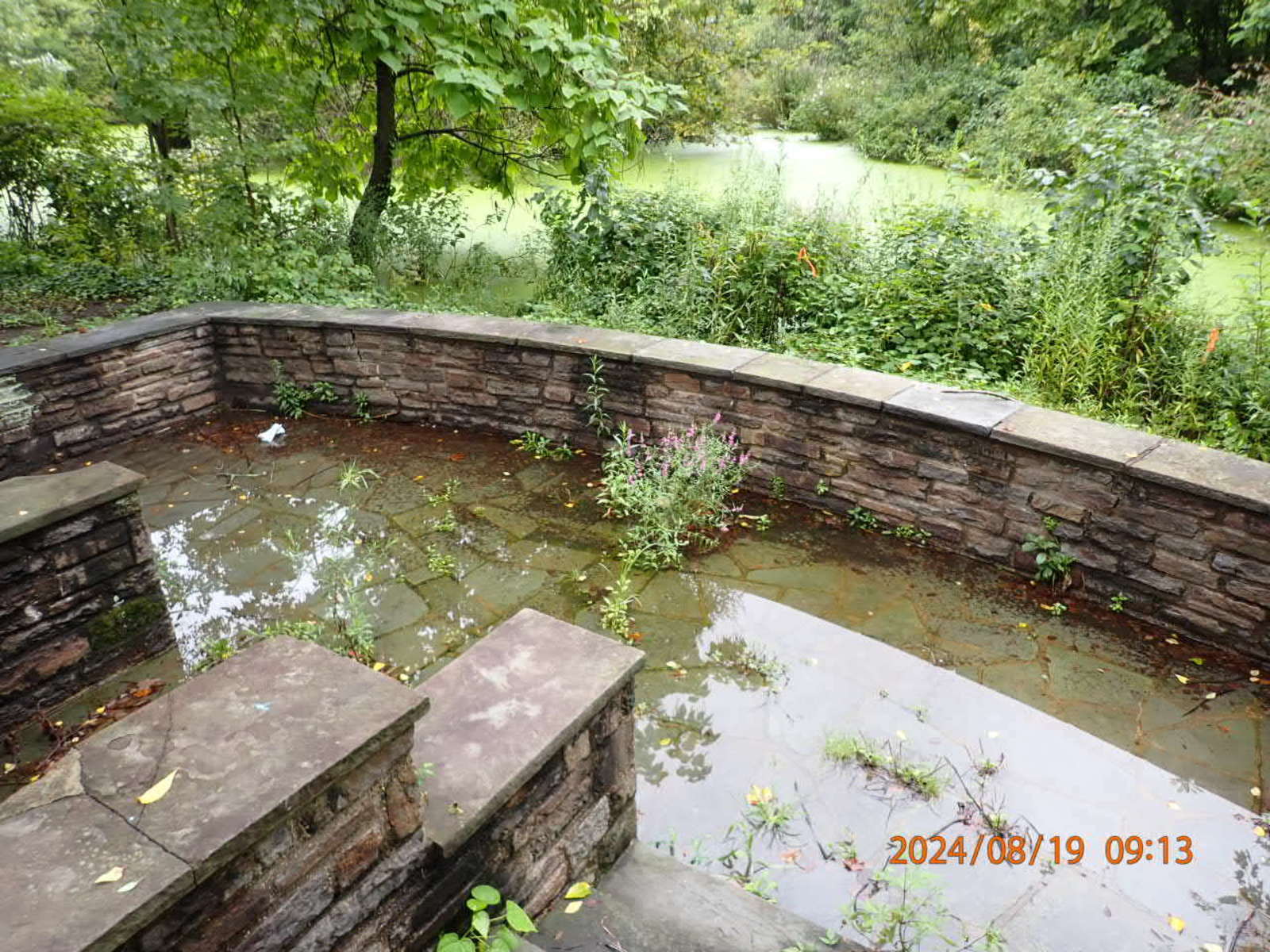 Photographic documentation of the work as submitted to the city's 311 record.