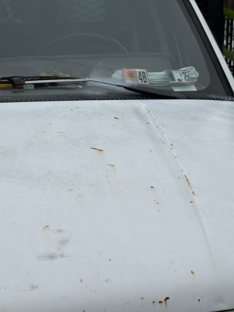 Photographic documentation of the work as submitted to the city's 311 record.
