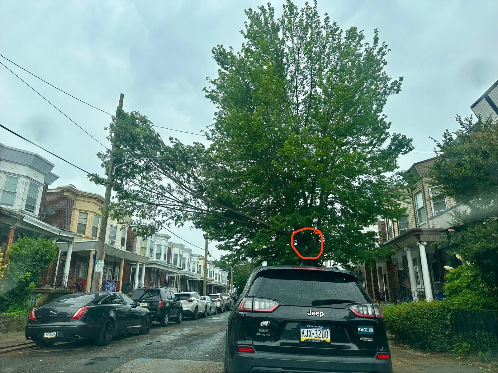Photographic documentation of the work as submitted to the city's 311 record.