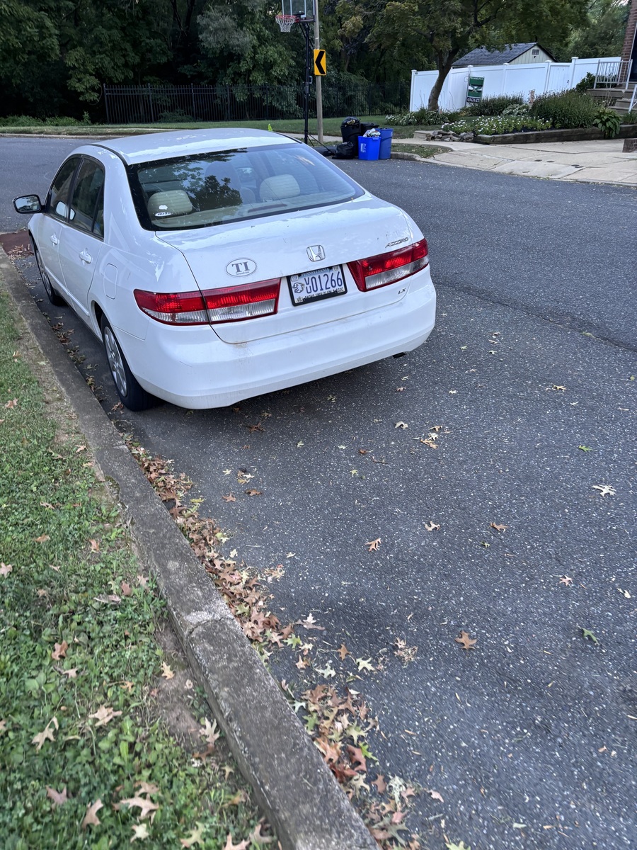 Photographic documentation of the work as submitted to the city's 311 record.