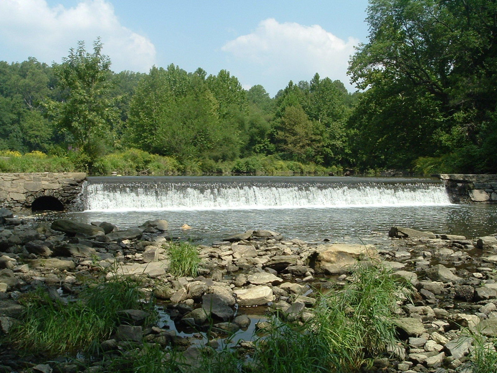 Photographic documentation of the work as submitted to the city's 311 record.