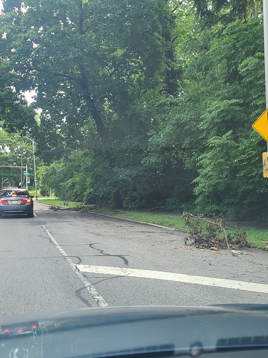 Photographic documentation of the work as submitted to the city's 311 record.