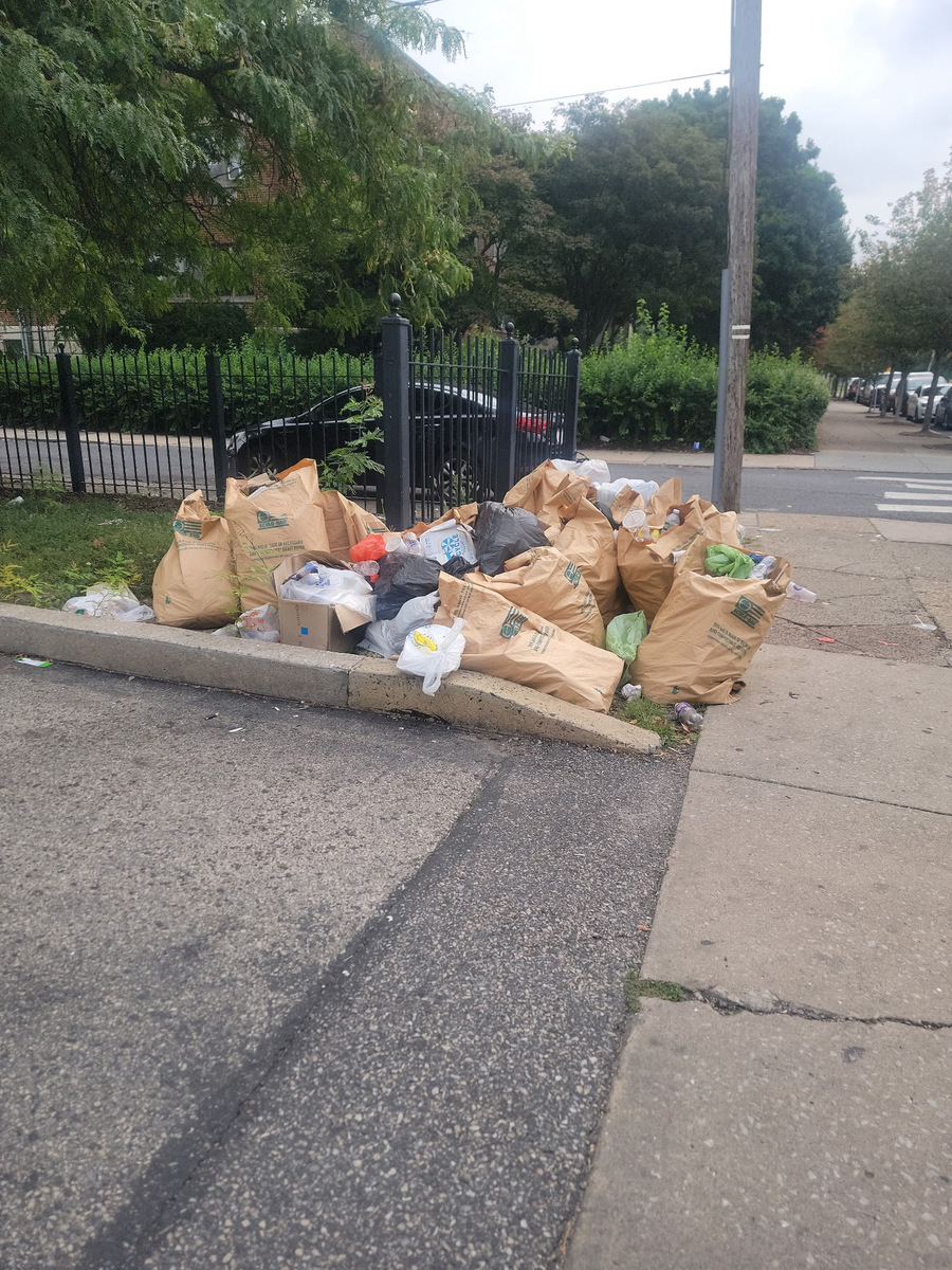 Photographic documentation of the work as submitted to the city's 311 record.