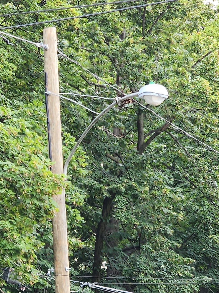 Photographic documentation of the work as submitted to the city's 311 record.
