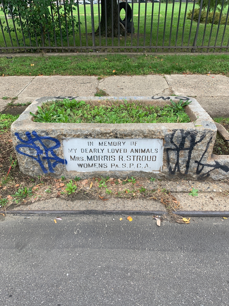 Photographic documentation of the work as submitted to the city's 311 record.