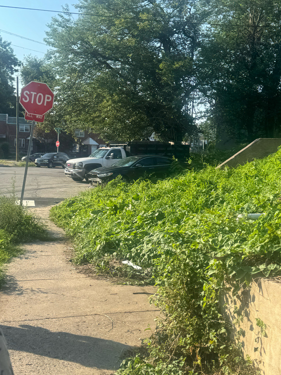 Photographic documentation of the work as submitted to the city's 311 record.