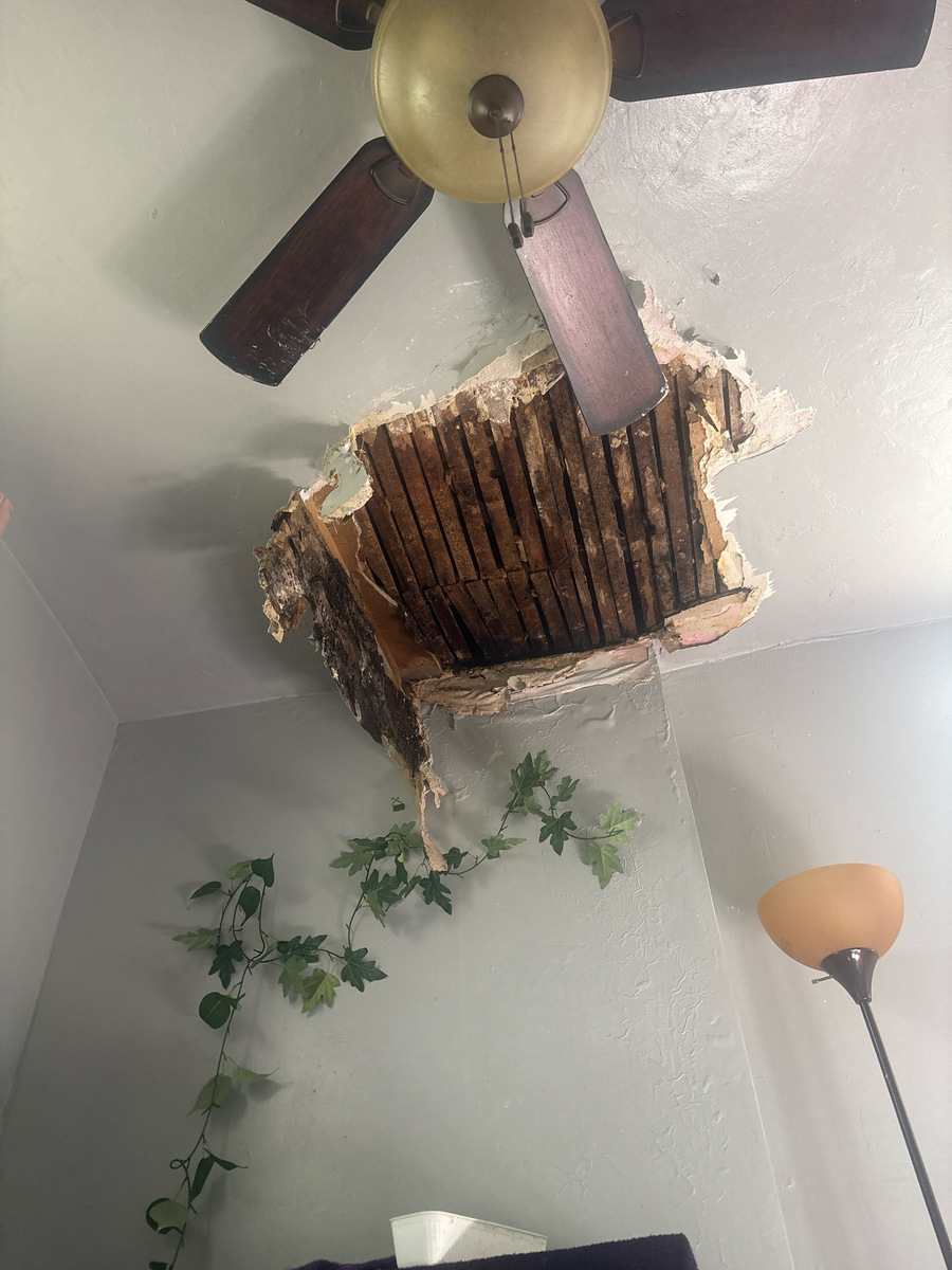 Photographic documentation of the work as submitted to the city's 311 record.