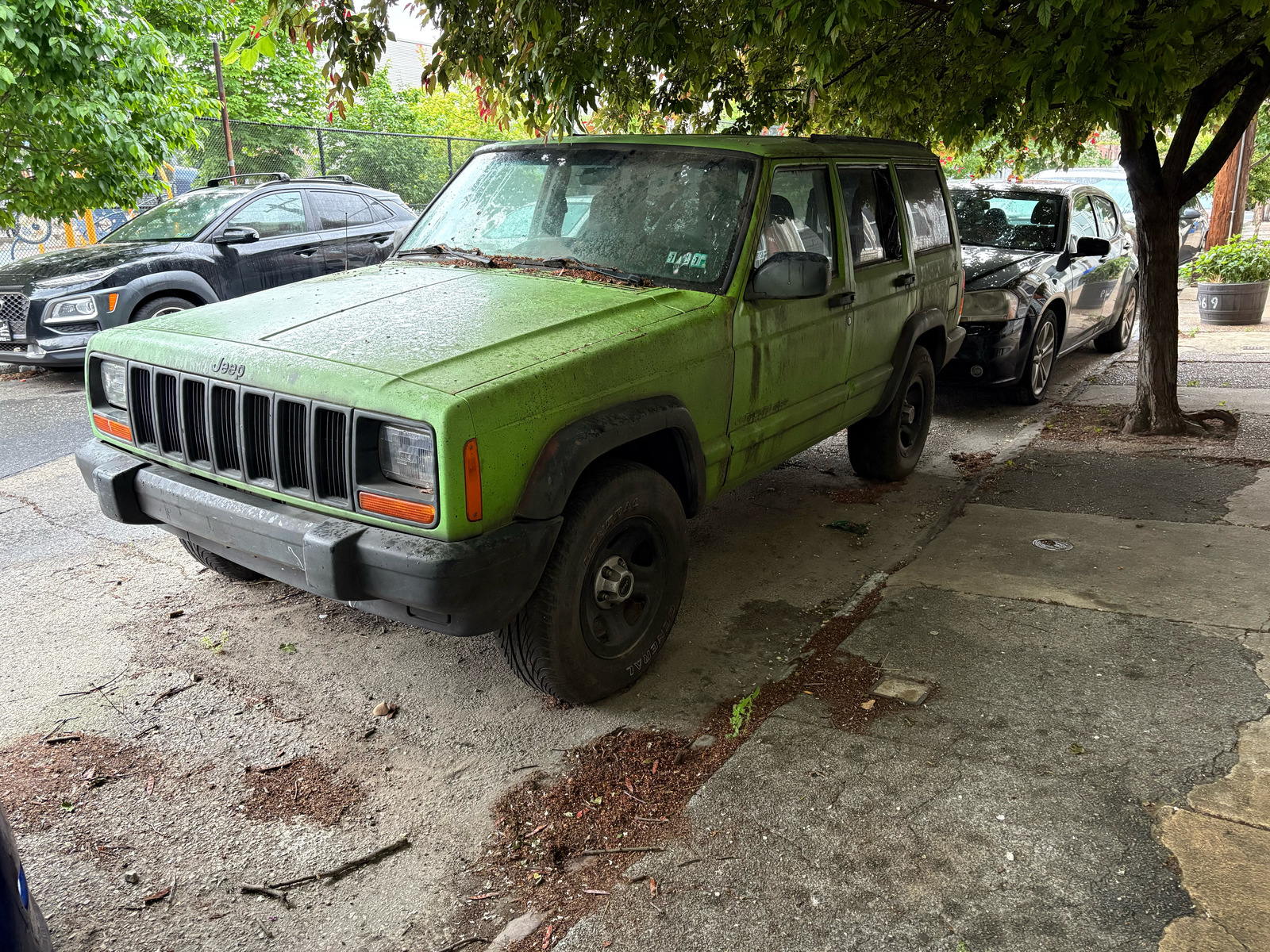 Photographic documentation of the work as submitted to the city's 311 record.