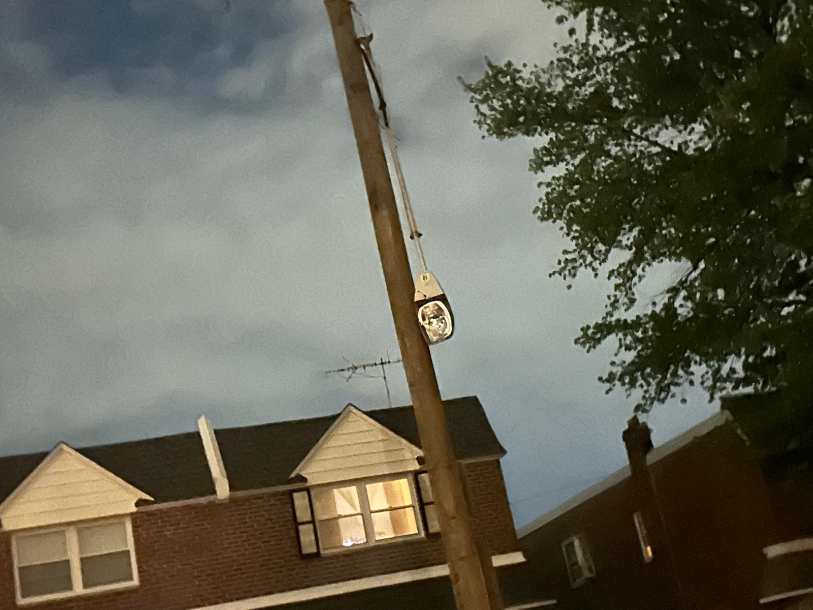 Photographic documentation of the work as submitted to the city's 311 record.