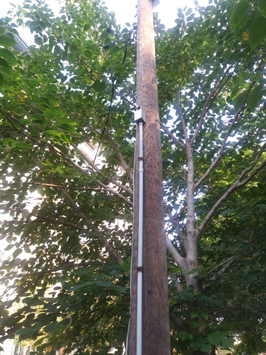 Photographic documentation of the work as submitted to the city's 311 record.