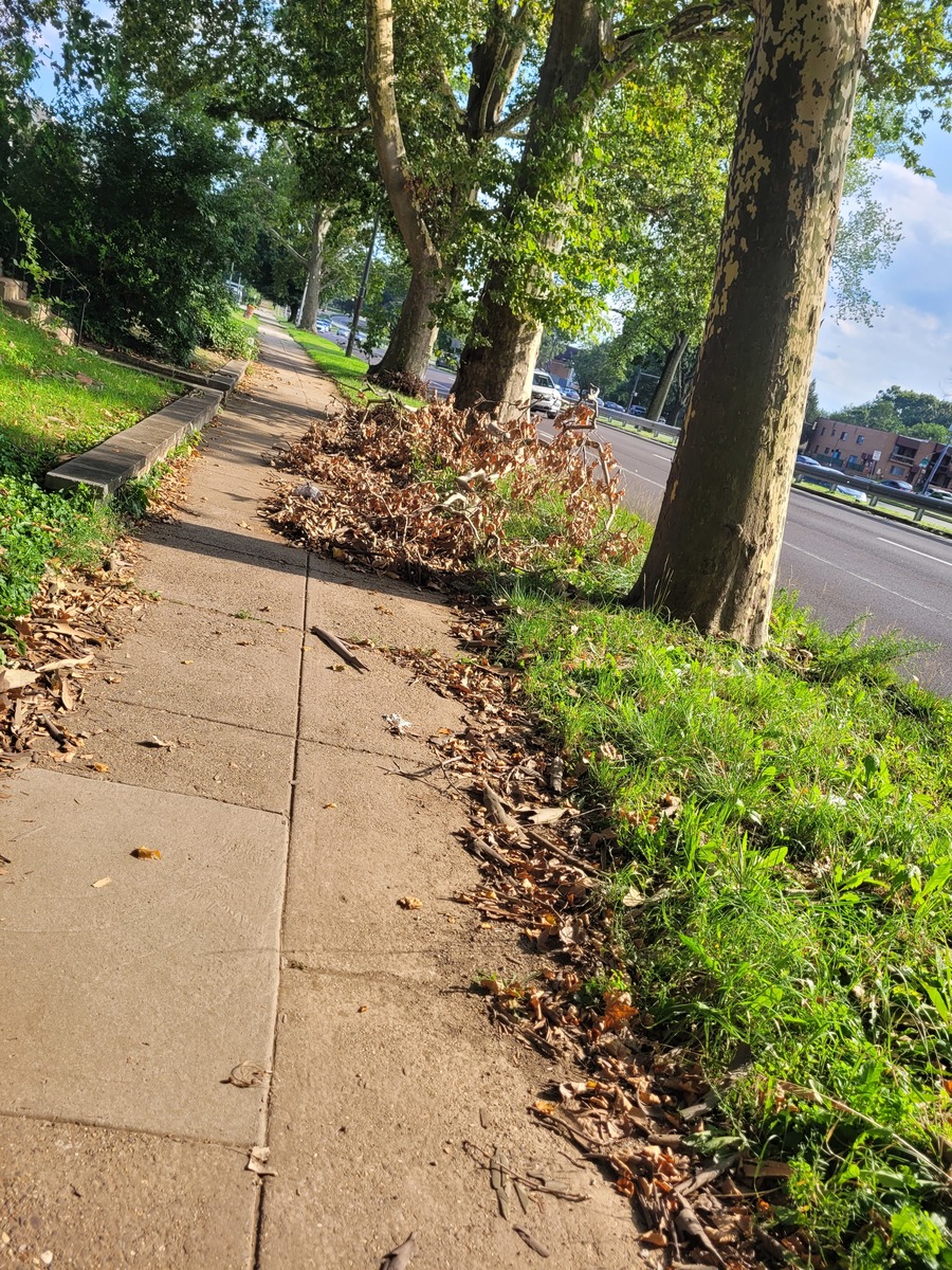 Photographic documentation of the work as submitted to the city's 311 record.