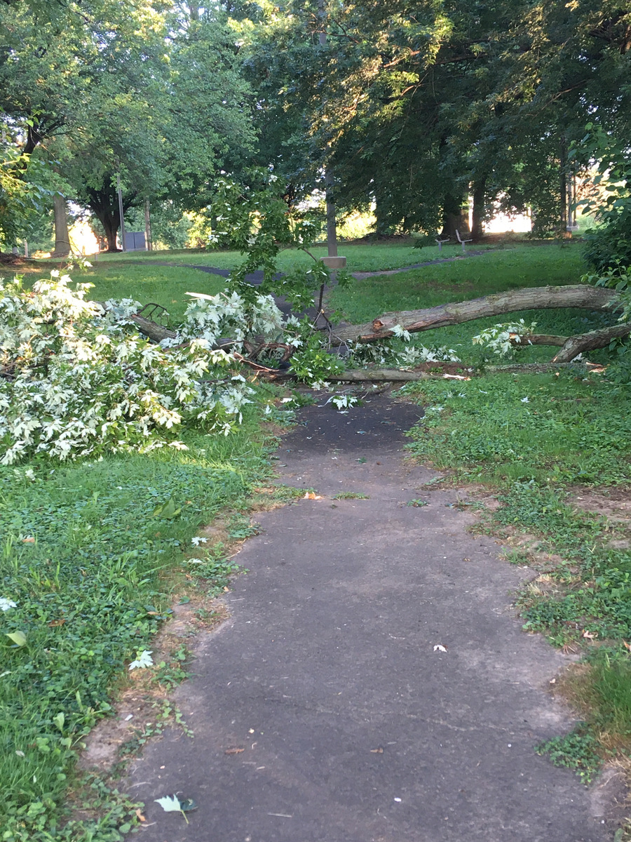 Photographic documentation of the work as submitted to the city's 311 record.
