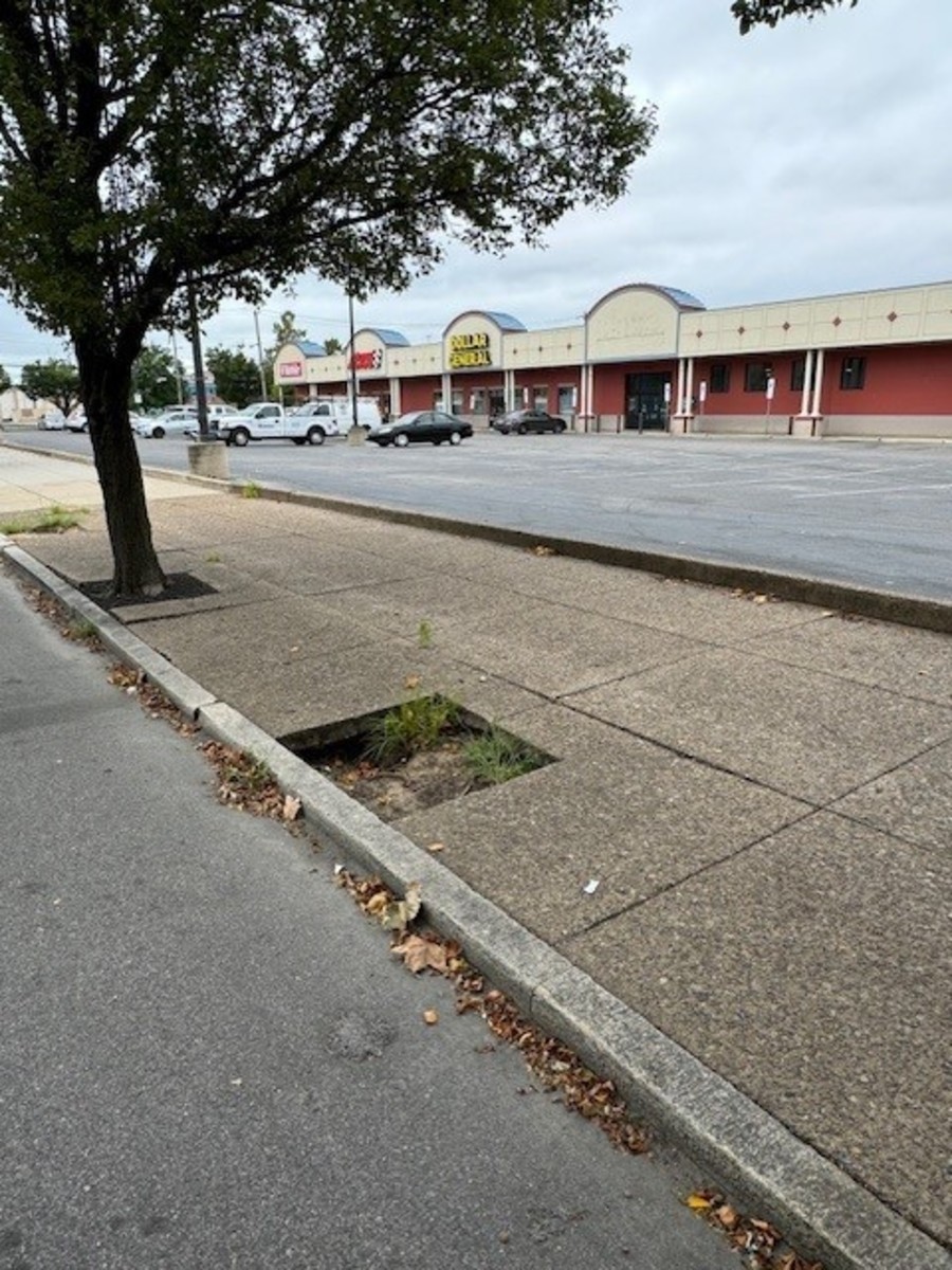 Photographic documentation of the work as submitted to the city's 311 record.
