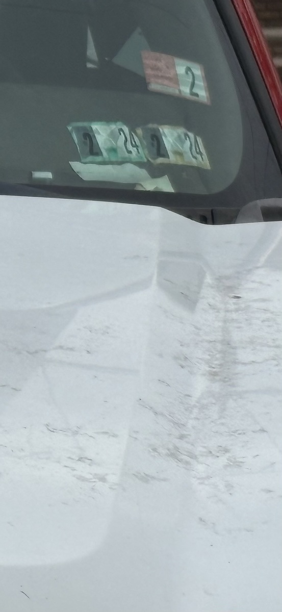 Photographic documentation of the work as submitted to the city's 311 record.