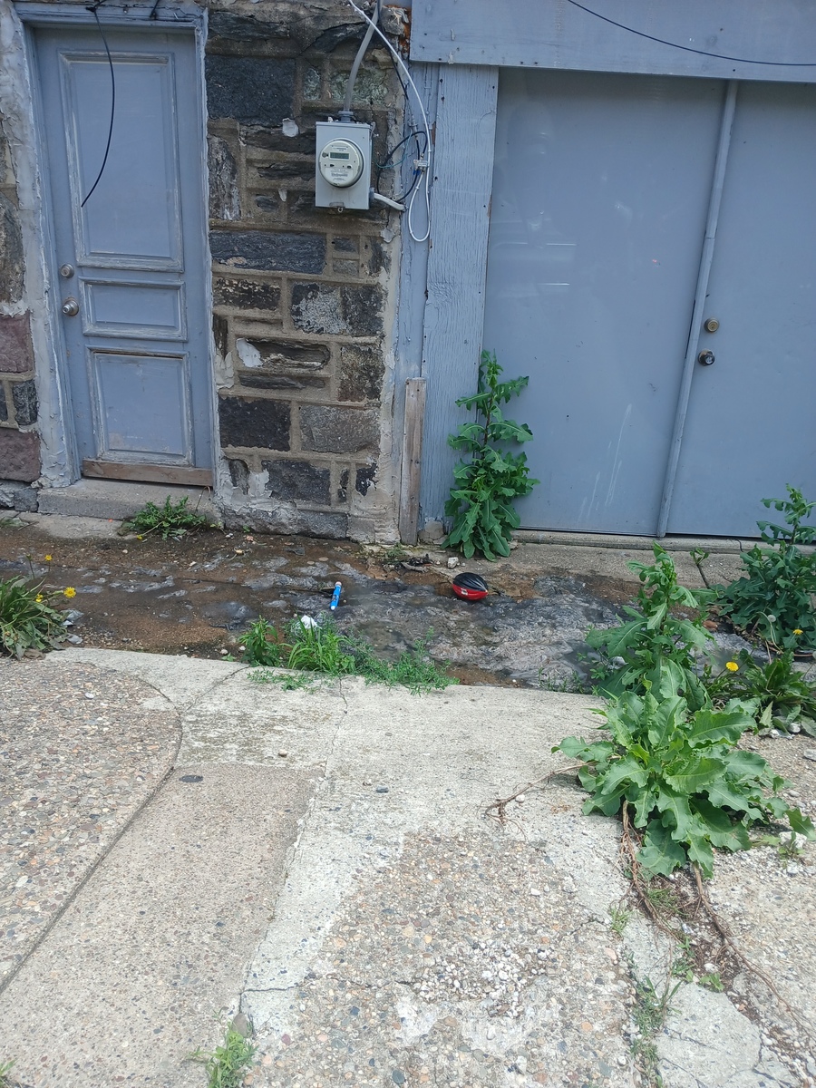 Photographic documentation of the work as submitted to the city's 311 record.