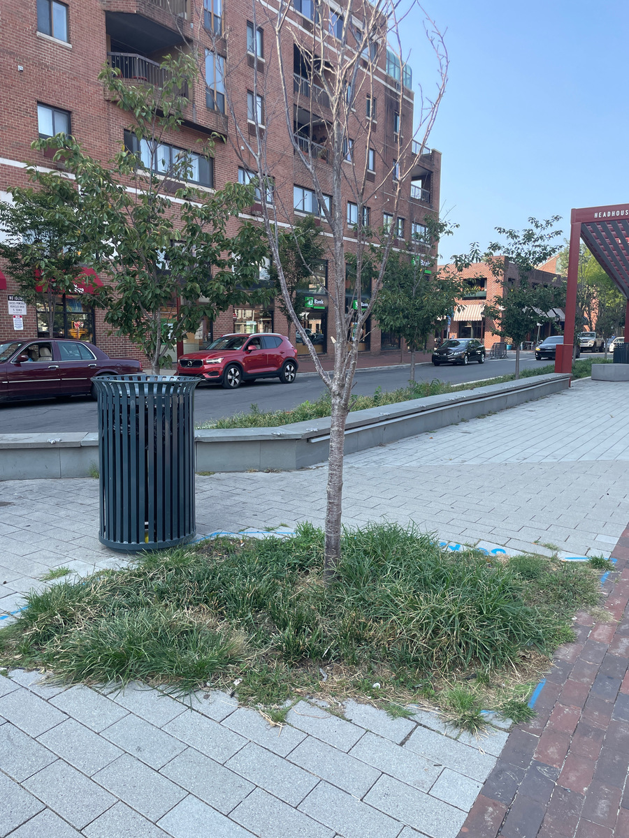 Photographic documentation of the work as submitted to the city's 311 record.