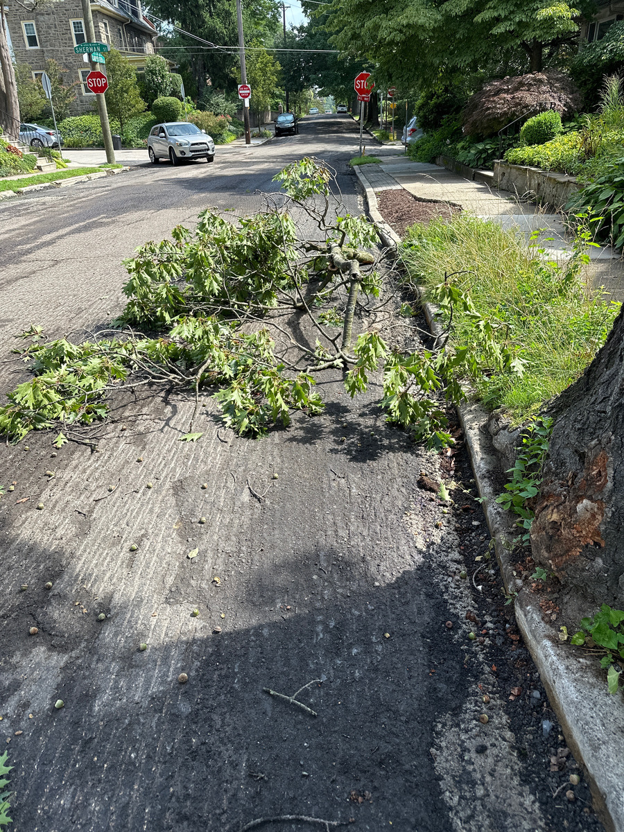 Photographic documentation of the work as submitted to the city's 311 record.