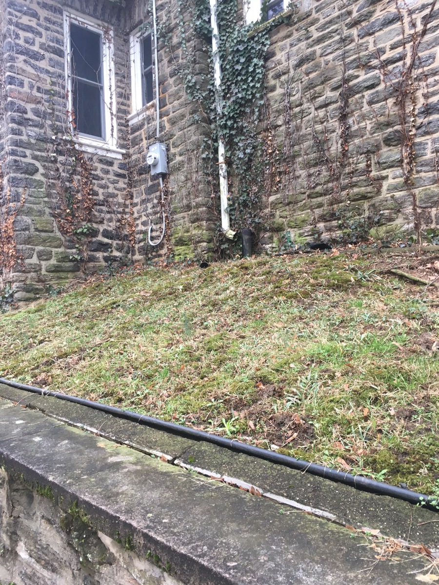 Photographic documentation of the work as submitted to the city's 311 record.