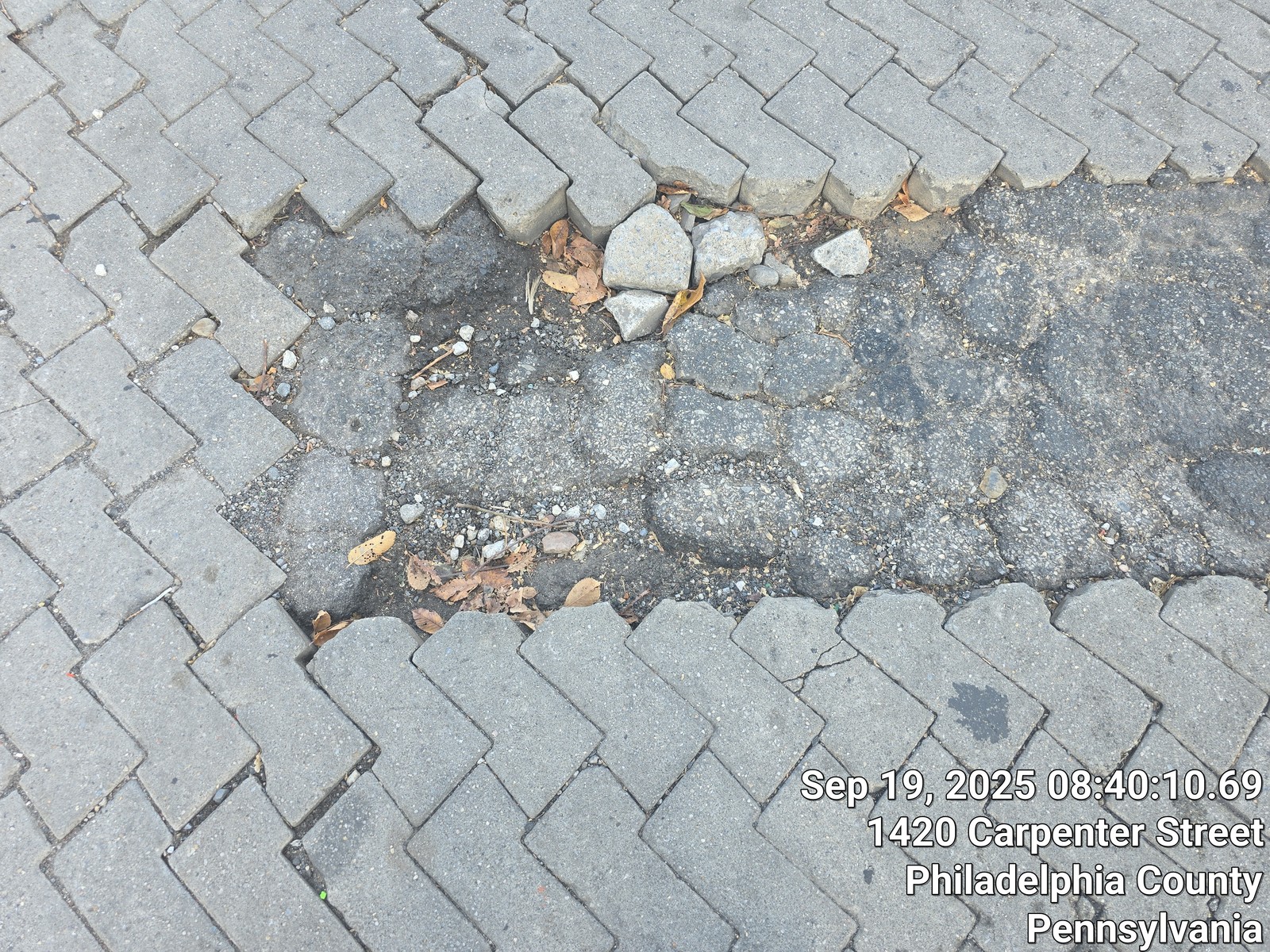 Photographic documentation of the work as submitted to the city's 311 record.