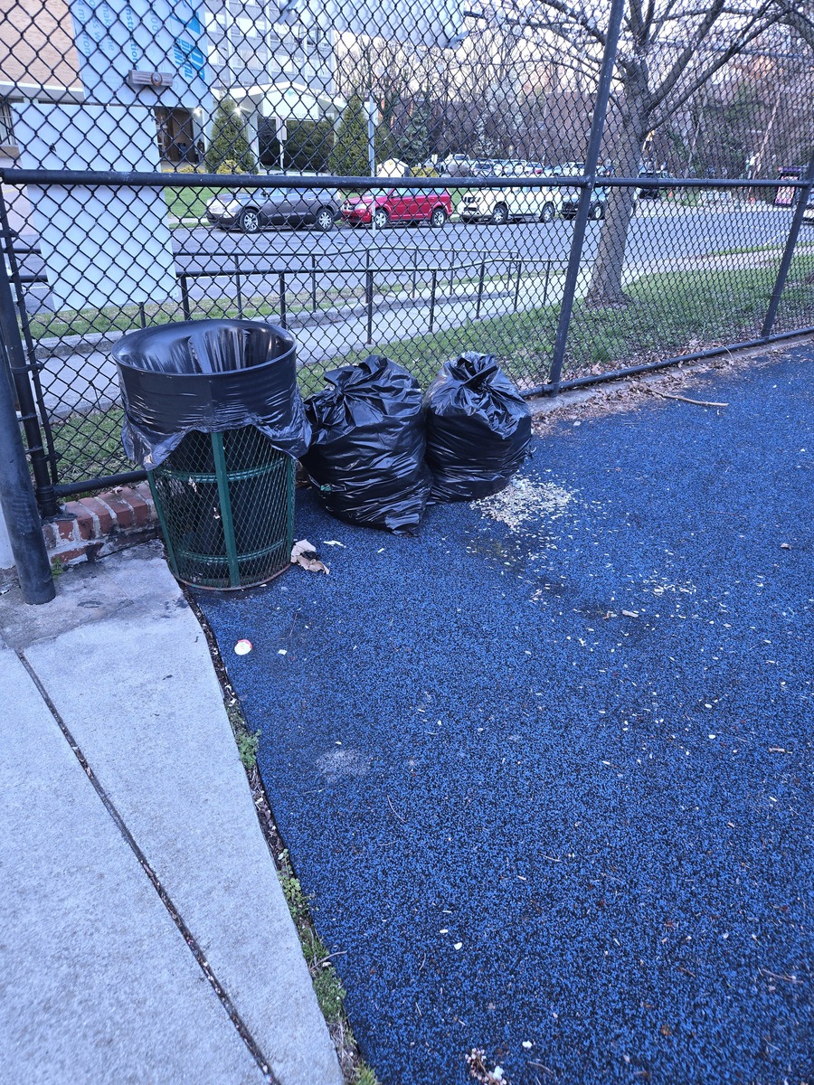 Photographic documentation of the work as submitted to the city's 311 record.