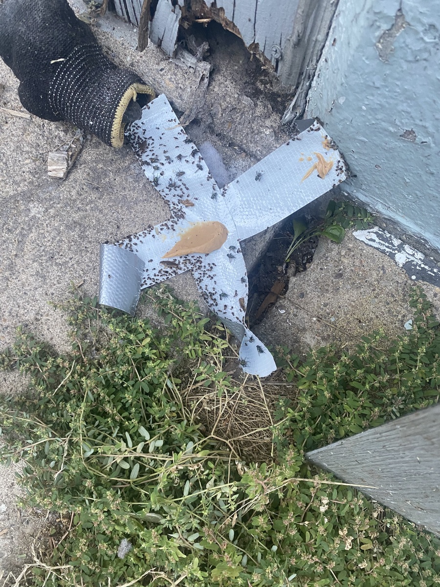 Photographic documentation of the work as submitted to the city's 311 record.