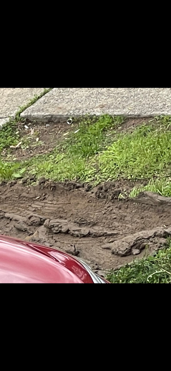 Photographic documentation of the work as submitted to the city's 311 record.
