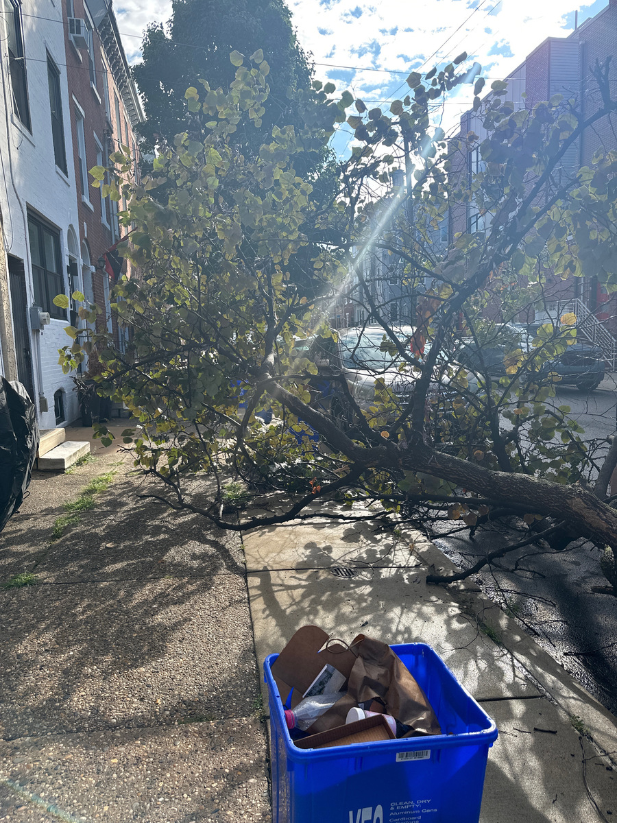 Photographic documentation of the work as submitted to the city's 311 record.
