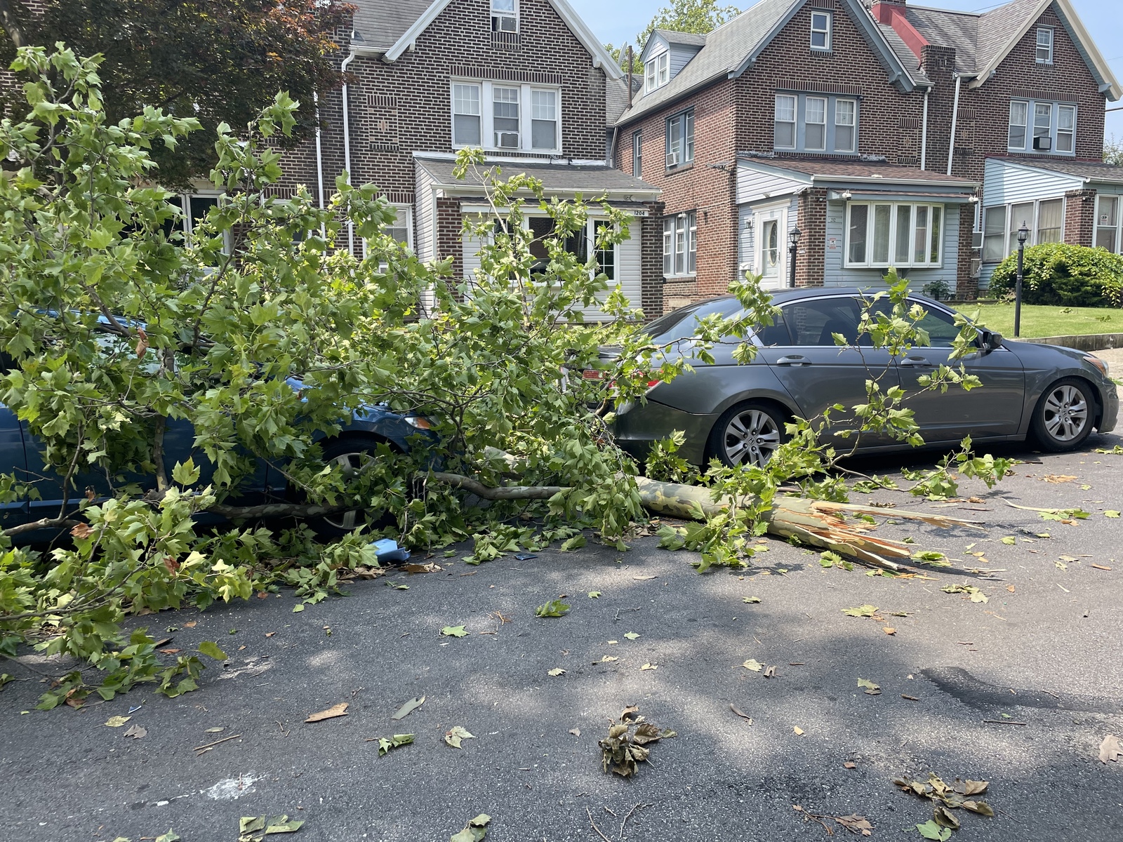 Photographic documentation of the work as submitted to the city's 311 record.