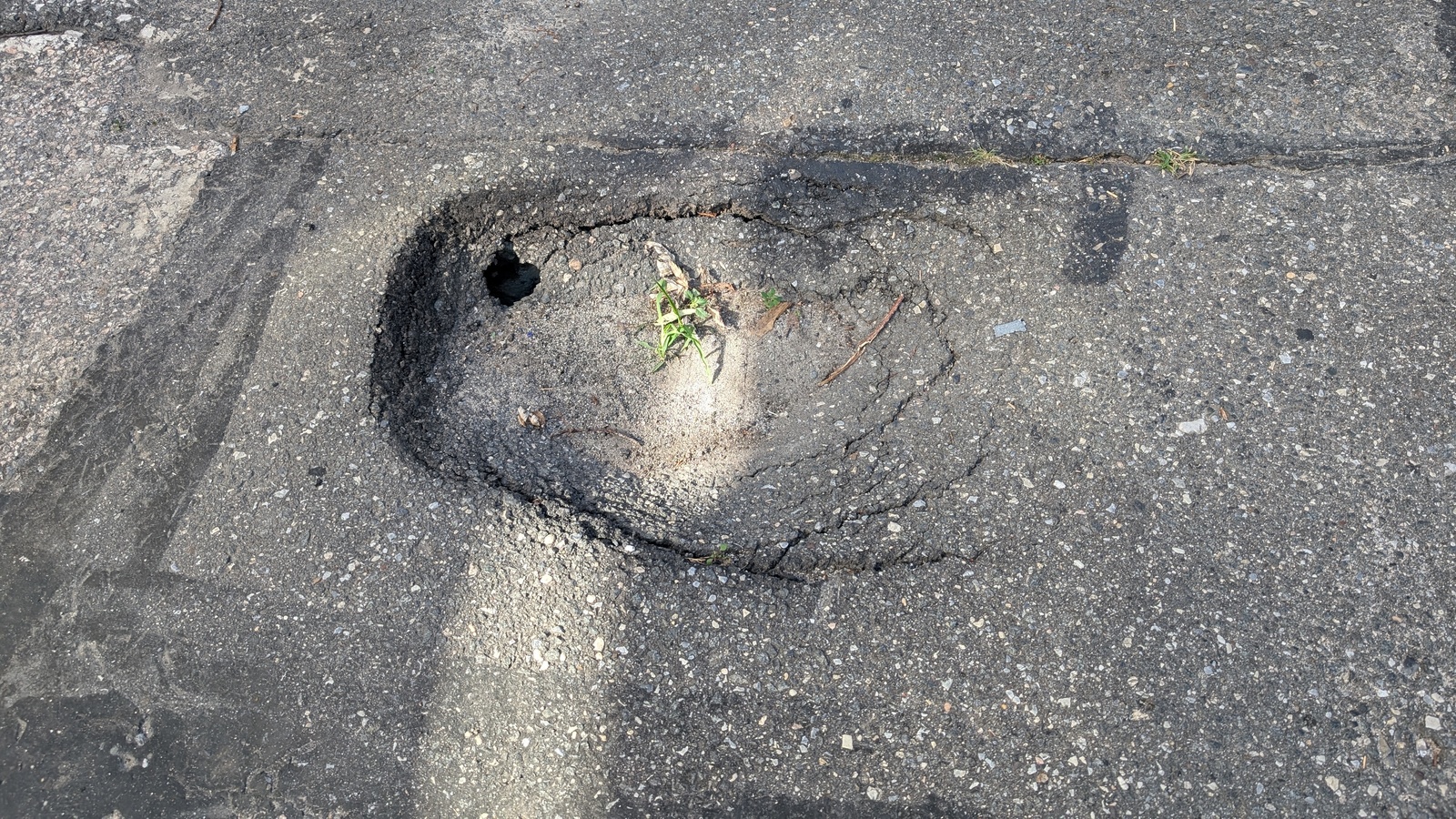 Photographic documentation of the work as submitted to the city's 311 record.