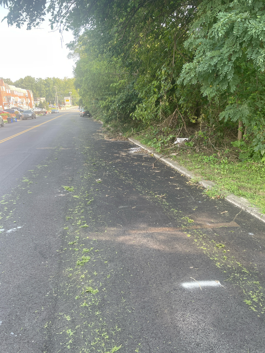 Photographic documentation of the work as submitted to the city's 311 record.
