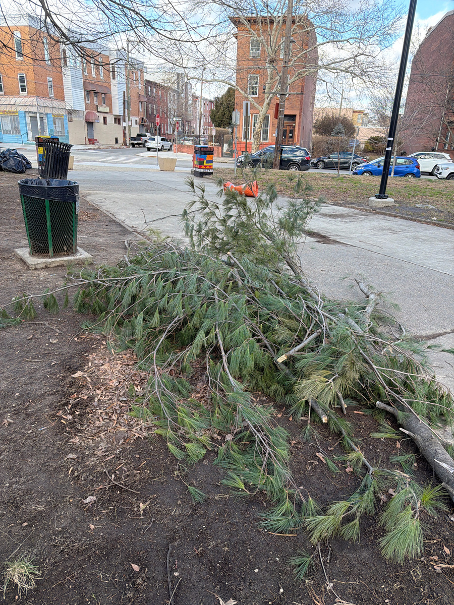 Photographic documentation of the work as submitted to the city's 311 record.