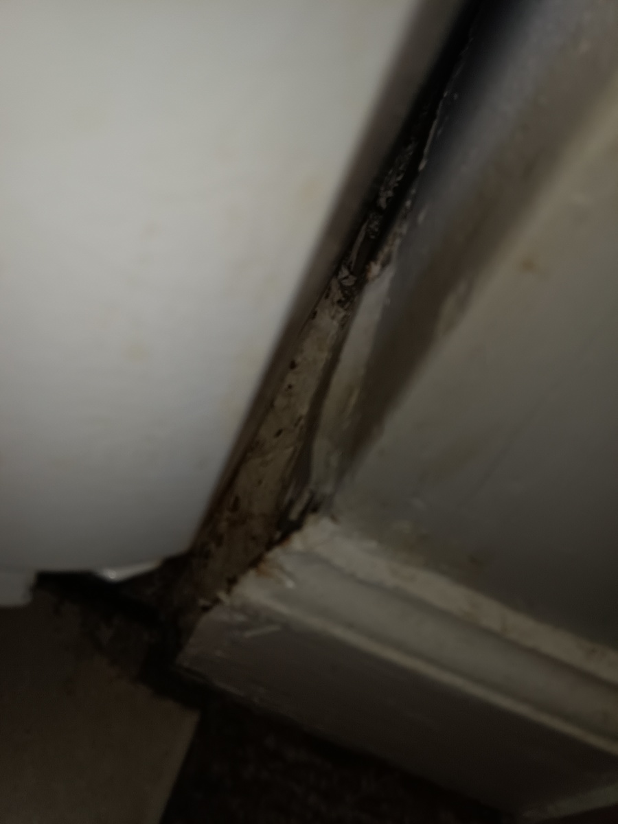 Photographic documentation of the work as submitted to the city's 311 record.