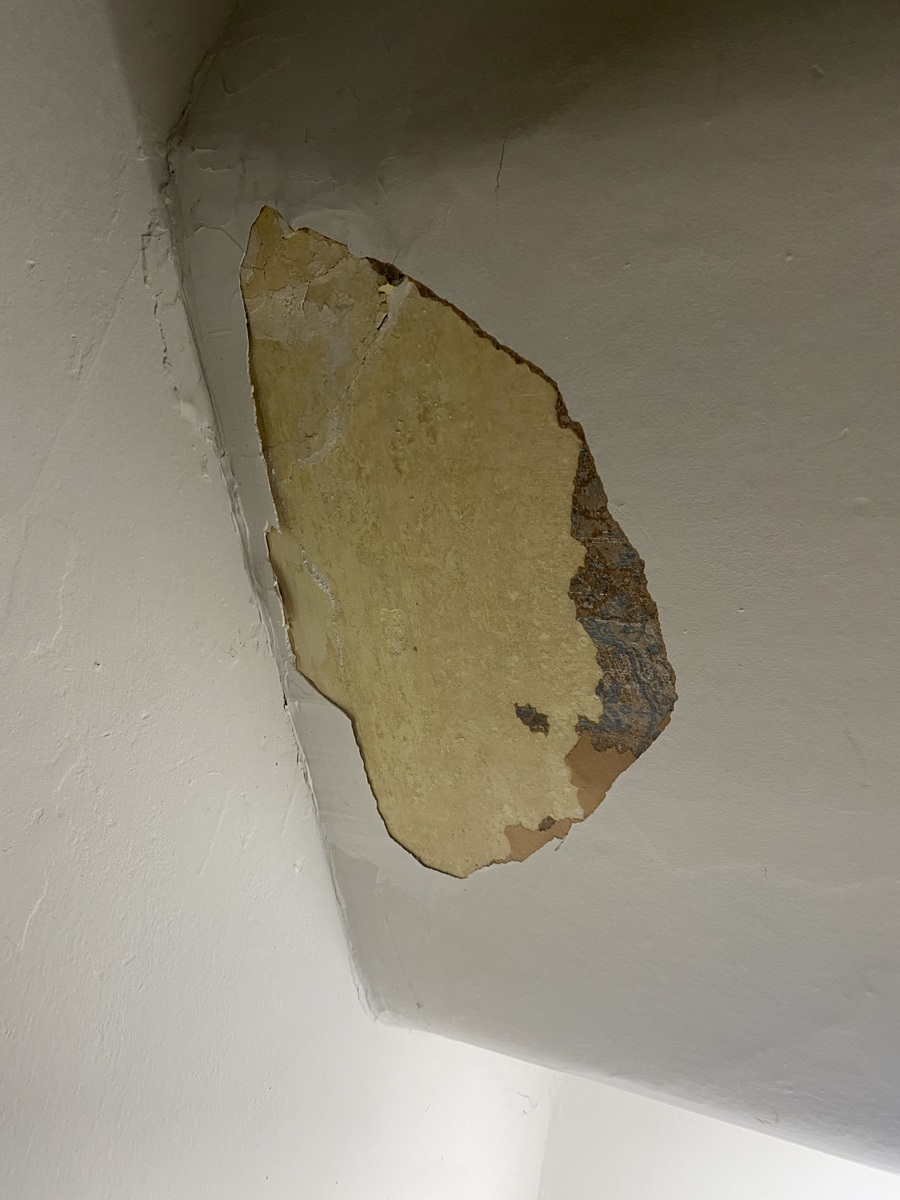 Photographic documentation of the work as submitted to the city's 311 record.