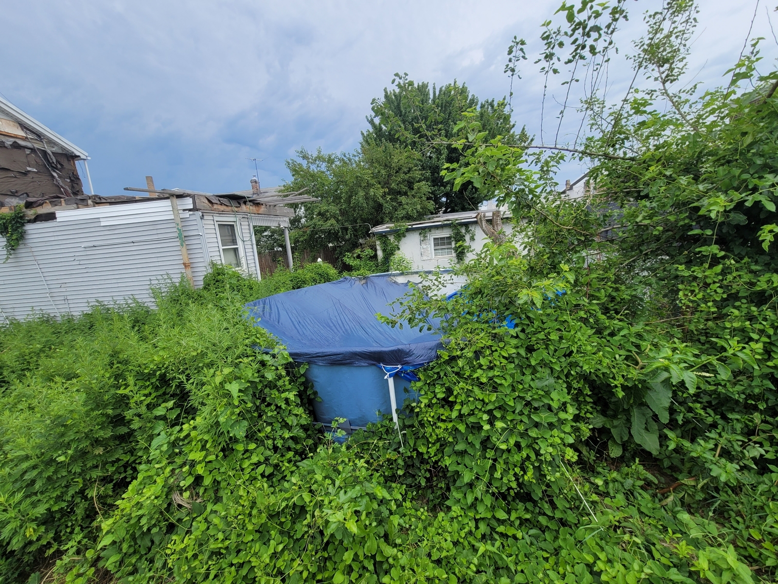 Photographic documentation of the work as submitted to the city's 311 record.