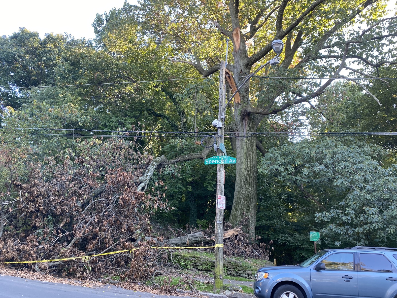 Photographic documentation of the work as submitted to the city's 311 record.