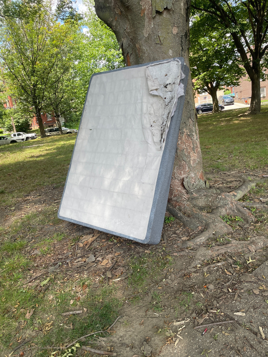 Photographic documentation of the work as submitted to the city's 311 record.
