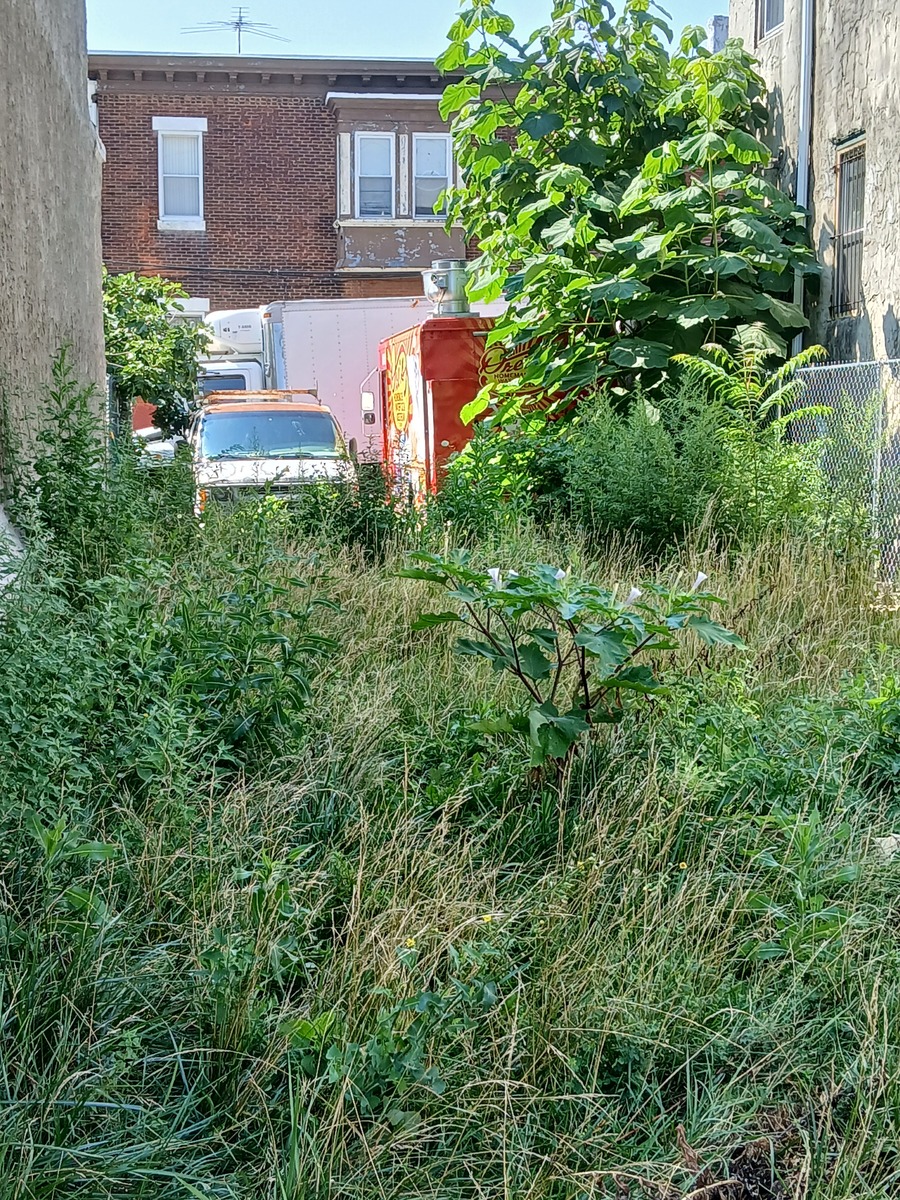 Photographic documentation of the work as submitted to the city's 311 record.