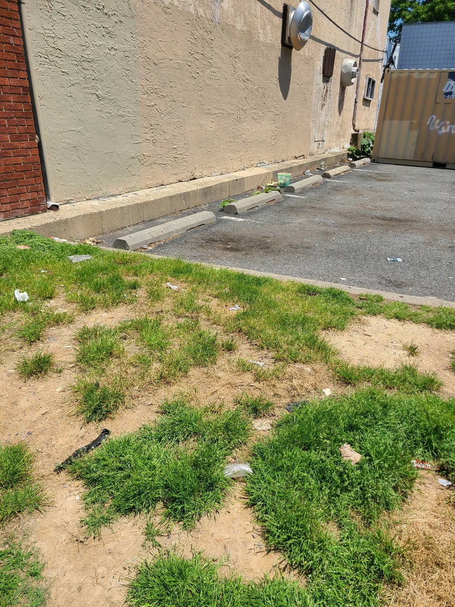Photographic documentation of the work as submitted to the city's 311 record.