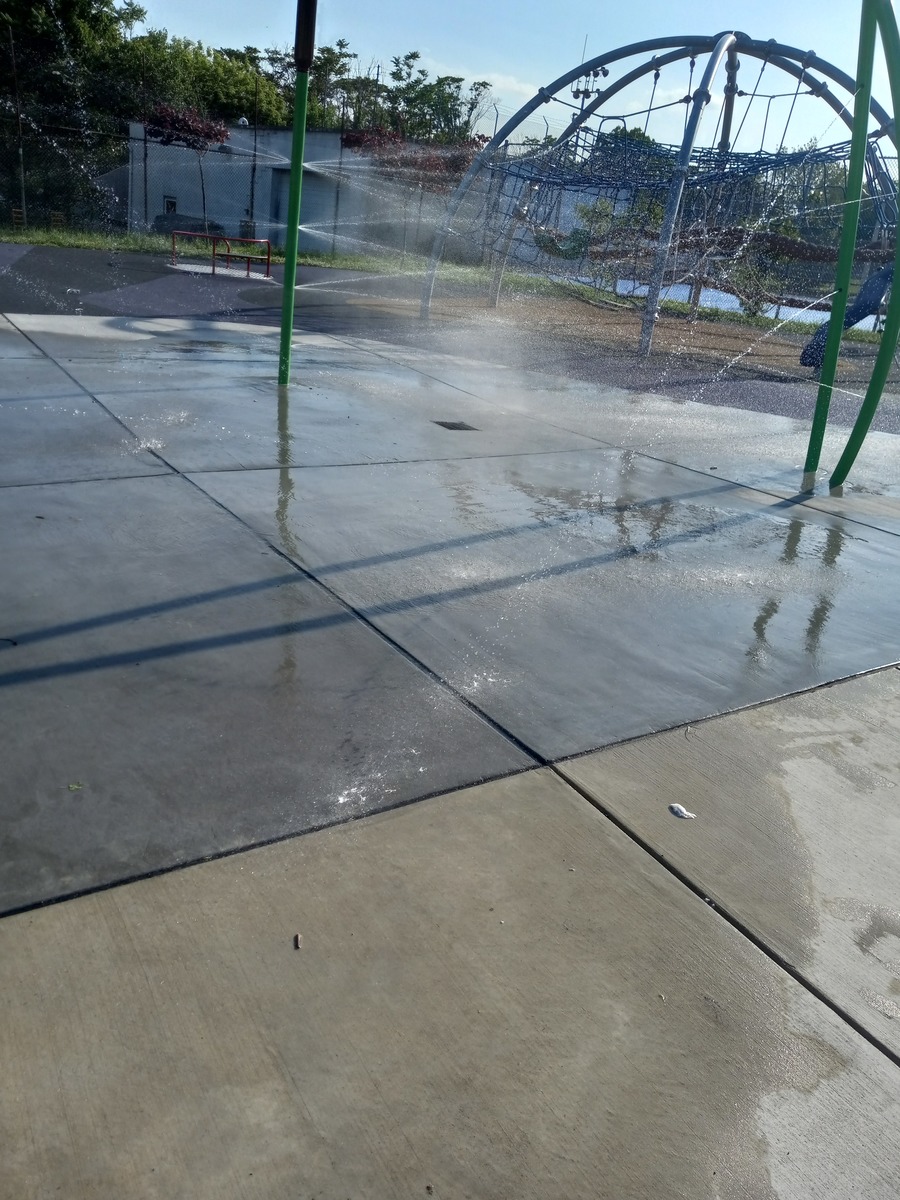 Photographic documentation of the work as submitted to the city's 311 record.